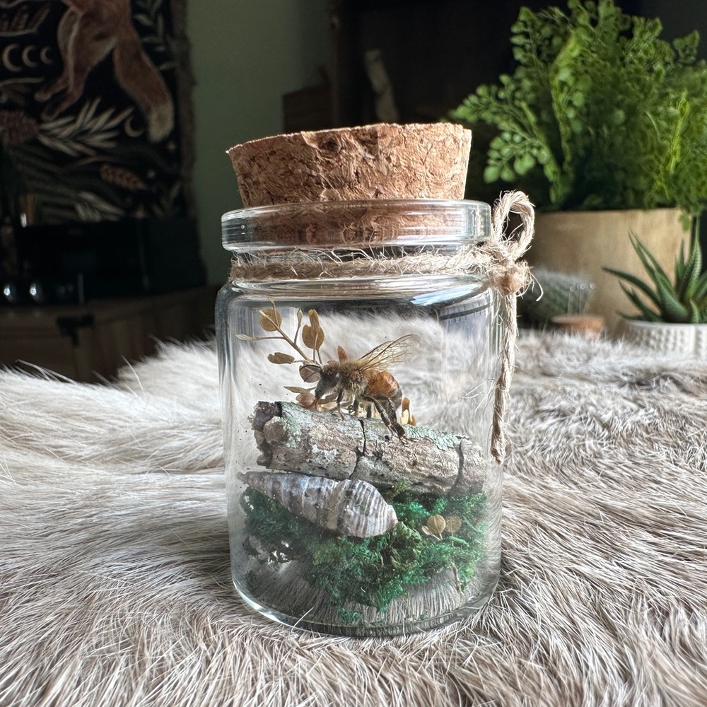 🐝 𝙷𝚊𝚗𝚍𝚖𝚊𝚍𝚎 𝚃𝚛𝚒𝚗𝚔𝚎𝚝 🐝